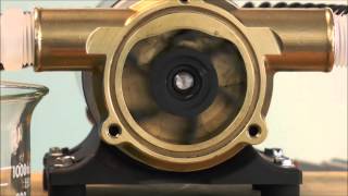 How a Jabsco Flexible Impeller Pump Works [upl. by Gaye931]