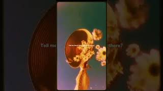 Without Me  Halsey  lyrics  aesthetic  Whatsapp Status  English songs  slowed  speed up 🥰🎶🌨️ [upl. by Aeneas144]