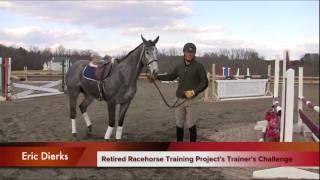 Part 2 of the Retired Race Horse Thoroughbred Training Project with Eric Dierks [upl. by Kironde]