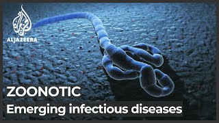 UN report 75 percent of emerging infectious diseases are zoonotic [upl. by Sergu]