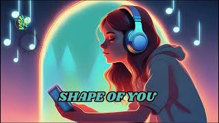 Ed Sheeran  Shape Of You Slowed Reverb  Vibezone [upl. by Ahsinnod]