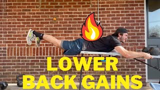 Reverse Hyperextensions  The BEST Lower Back Exercise You Arent Doing [upl. by Opaline]