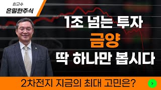 🔥 금양 선제적 1조 투자를 한 이유 [upl. by Ettezil456]