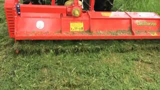 Flail mower FARM  Del Morino [upl. by Akerehs]