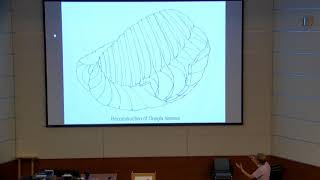 Evolutionary history of the late Ediacaran Namatype biota [upl. by Tyrone]