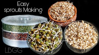 How To Make Sprouts at Home  sprout maker Demo  Reviews and How to use sprouts maker [upl. by Rox]