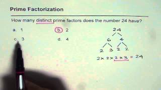 01 Distinct Prime Factors for 24 [upl. by Neelrahs]