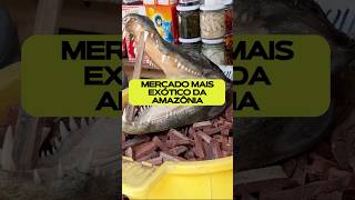 Melhores e piores comidas da Amazônia [upl. by Aman217]