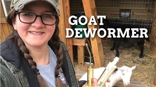 DEWORMING GOATS 🐐 [upl. by Esinev]