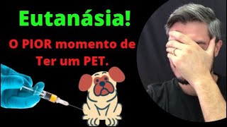 EUTANÁSIA  Quando Tomar a Decisão de Sacrificar o Cachorro  O quê o Cão Sente Para Morrer [upl. by Gilbertina582]