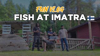 FUN VLOG  Salmon Fish at Imatra Rapids  Finnish Countryside [upl. by Nortad]