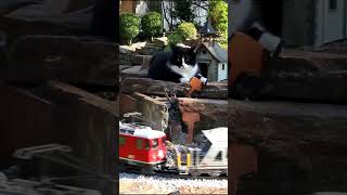 Zugbeobachtung gartenbahn gardenrailway cat [upl. by Flin391]