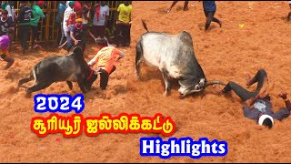 சூரியூர் ஜல்லிக்கட்டு highlights 2024  sooriur jallikattu best videos 2024 [upl. by Bisset217]