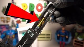 Boutiq Mango 1 Gram Vape Cart Review with Spicy Pickle Panda [upl. by Yllehs427]