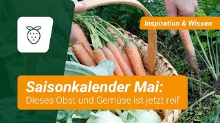 Saisonkalender Dieses Obst und Gemüse ist im Mai reif [upl. by Varien]