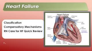 RN Care of Cardiac Patients [upl. by Dadirac]