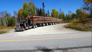 Peterbilt 359 Classic big smoke Logging [upl. by Naima]