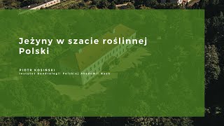 Klimat na bioróżnorodność  dr Piotr Kosiński [upl. by Rizzo]