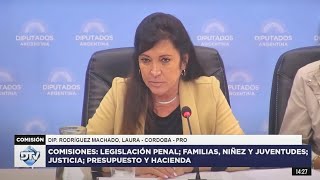 COMISIÓN COMPLETA PLENARIO  23 de octubre de 2024  RÉGIMEN PENAL JUVENIL  Diputados Argentina [upl. by Annaihs]