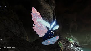 Reports of a unique Lucent Moth in the Alluring Curtain  Lepidopterist  Destiny 2 Triumph [upl. by Psyche]