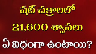 షట్ చక్రాలలో 21600 శ్వాసలు ఏ విధంగా ఉంటాయి Breaths in Shat chakras  Kundalini Yoga  Prana Vidya [upl. by Llehcor930]