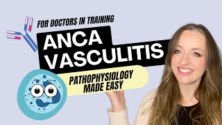 ANCA Vasculitis Pathophysiology [upl. by Boothe]