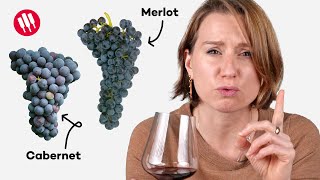 Learn by Tasting ep 25 Wine Folly [upl. by Romney]