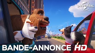 Comme Des Bêtes 2  bandeannonce 3 Universal Pictures HD [upl. by Nailluj]