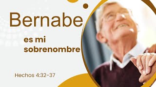 Bernabe Es Mi Sobrenombre  Noviembre 10 2024 [upl. by Etnor]