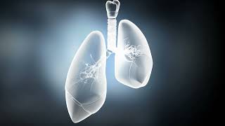 Common Questions About Mesothelioma Diagnosis [upl. by Gilead]