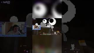 Streamer vs chat trailer Loraih twitch humor minecraft streamer [upl. by Ronny]