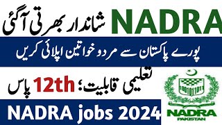 NADRA jobs 2024how to apply NADRA jobs onlinepak jobs and info [upl. by Llywellyn]