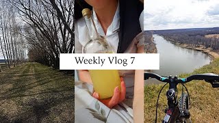 Weekly Vlog 6 first day in the garden and other community work [upl. by Naujud]