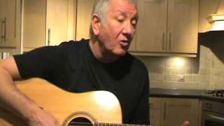 Fields of Athenry  Paddy Reilly  The Dubliners  acoustic cover [upl. by Tsiuqram699]