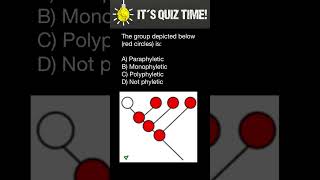 Monophyletic Paraphyletic Polyphyletic groups [upl. by Spiro963]