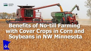 Benefits of Notill Farming with Cover Crops in Corn and Soybeans in NW Minnesota [upl. by Galanti]