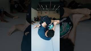 bjj jiujitsu jiu grappling nogi mma ufc jiujitsufighter oss bjjmotivation [upl. by Serena]