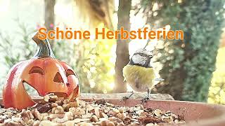 Schöne Herbstferien [upl. by Aloeda642]