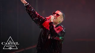 Daddy Yankee  2K20 Live Parte 2 [upl. by Aniretac161]