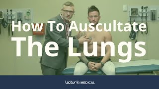 How To Auscultate The Lungs Differentiating Breath Sounds  Physical Examination [upl. by Dnomyar]