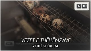 Vetitë shëruese të vezëve të thëllënzave [upl. by Sarad]