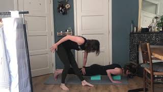 Heldhaftig at home  Short Chaturanga Tutorial by Laura [upl. by Fujio]