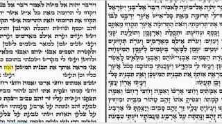 Torah Reading for Mondays and Thursdays Parashat Terumah [upl. by Nealy]