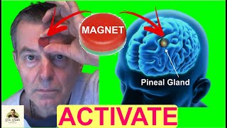 Activate and Energize Your Pineal Gland with MAGNETS thirdeye pinealglandactivation pinealgland [upl. by Amleht]