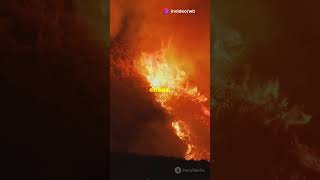 Line Fire Rages Across California and Nevada as Heatwave Intensifies 🔥 [upl. by Oruam]