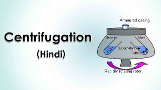 Centrifugation 12 Hindi [upl. by Pine]