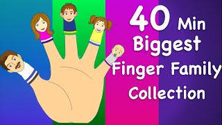 Finger Family Collection  NonStop 40 Minutes  Biggest Collection of Finger Family For Children [upl. by Stultz]