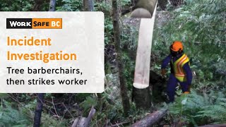 Incident Investigation Tree Barberchairs Then Strikes Worker  WorkSafeBC [upl. by Aved]