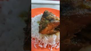 আজ গরম গরম ভাত আর ইলিশ মাছ দিয়ে ভাত খেলাম food umarhesel ইলিশমাছেররেসিপি [upl. by Urissa]