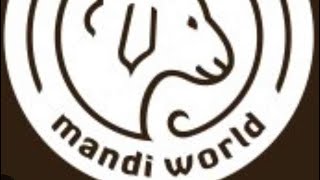 MANDI WORLD RESTAURANT  GRAND OPENING Sept112024 [upl. by Yrekaz]